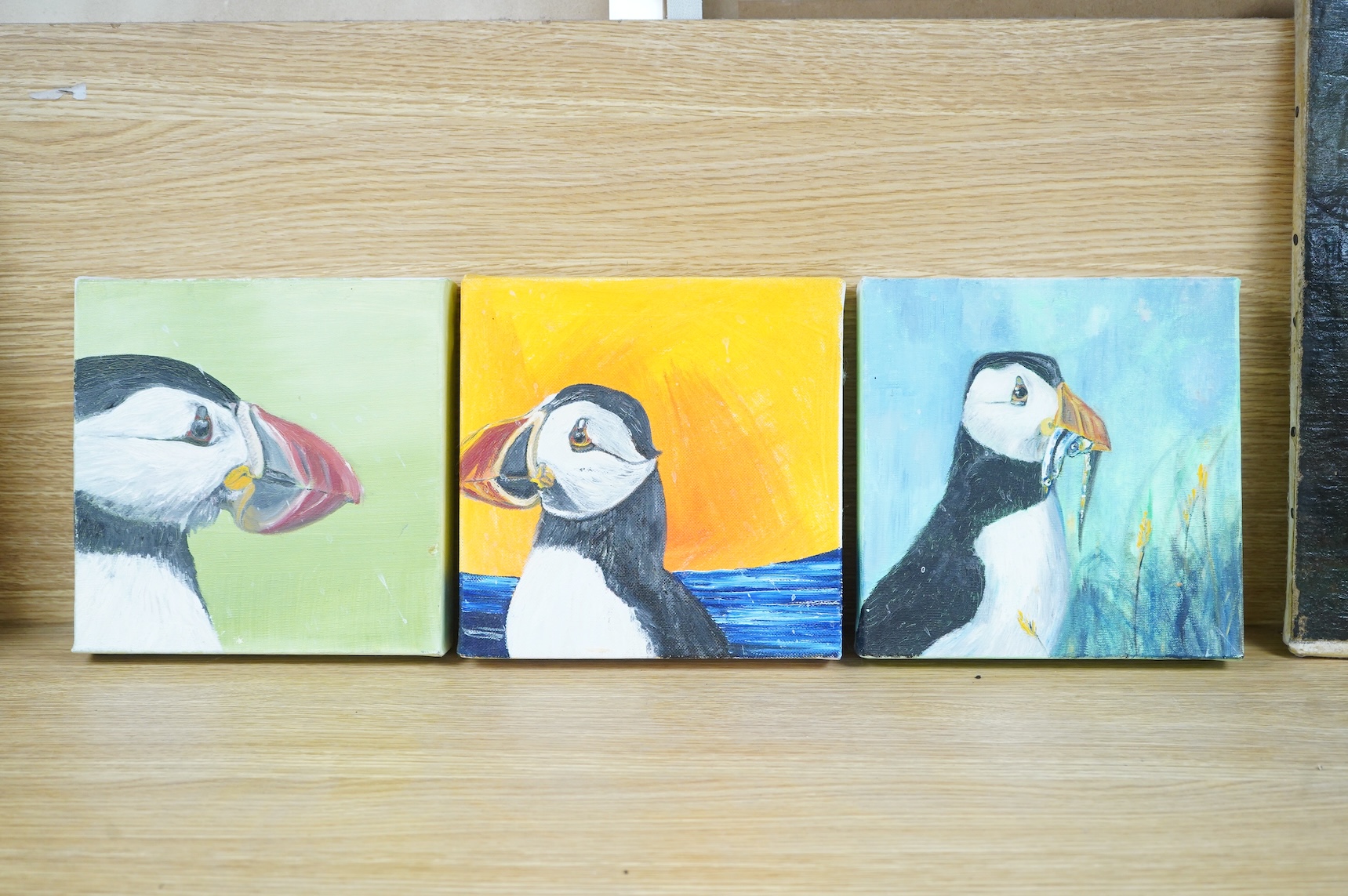 Siobhan O'Malley (Irish, contemporary), Studies of puffins, a set of three oils on canvas, each signed and dated 2010 verso, 20 x 20cm unframed